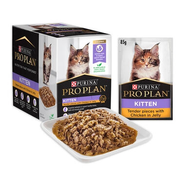 PRO PLAN Kitten Tender Pieces with Chicken in Jelly Wet Cat Food