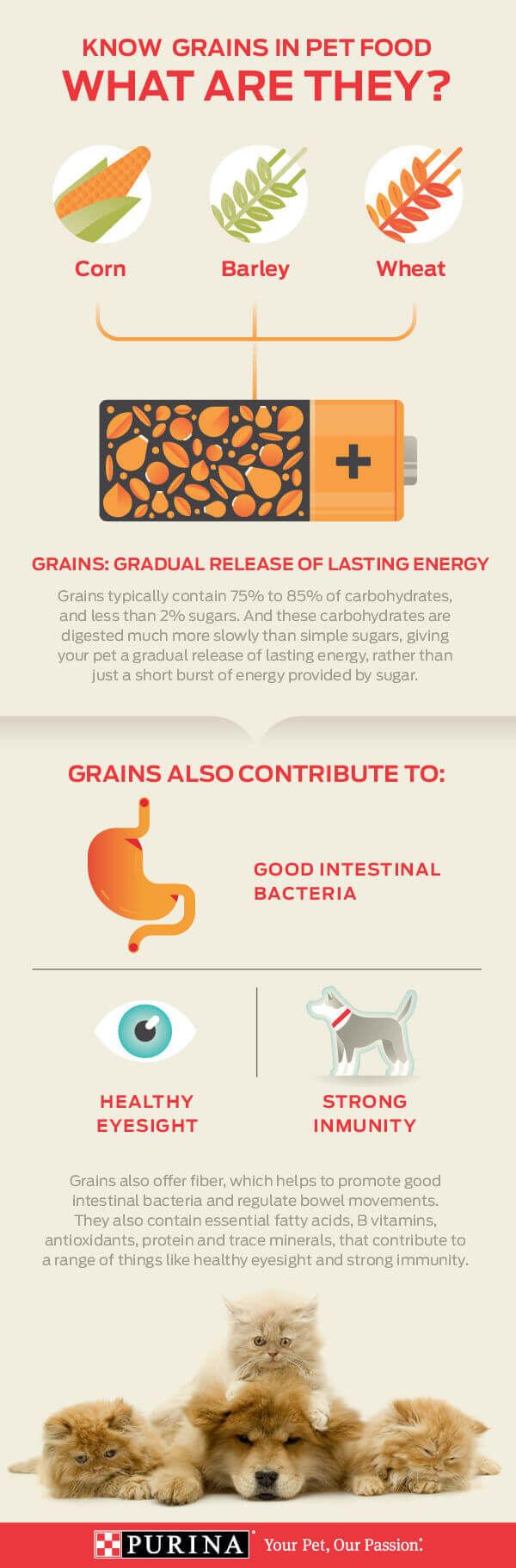 grains infographic