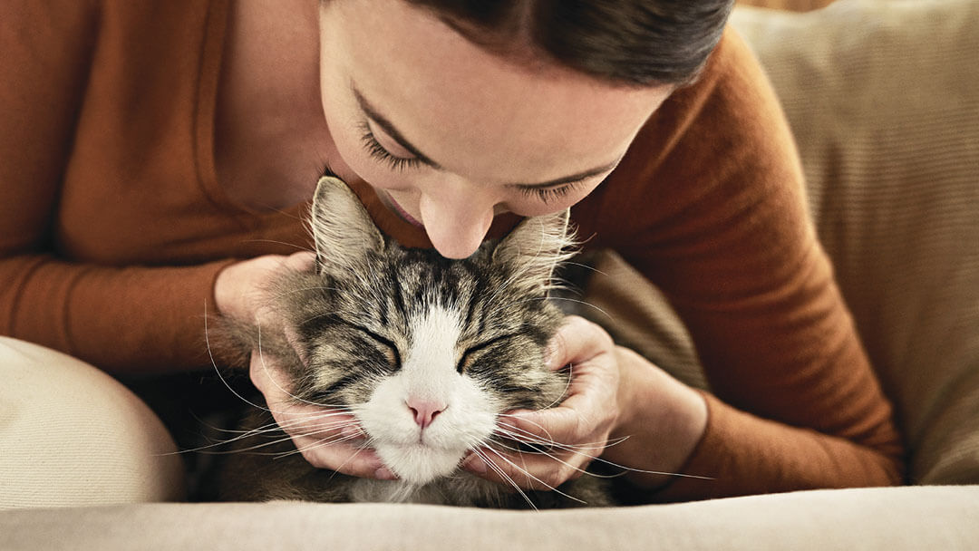 Woman leaning over a low-shedding cat for a kiss