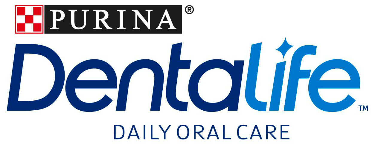 Dentalife