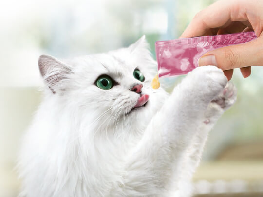 Fancy Feast Treats for Cats