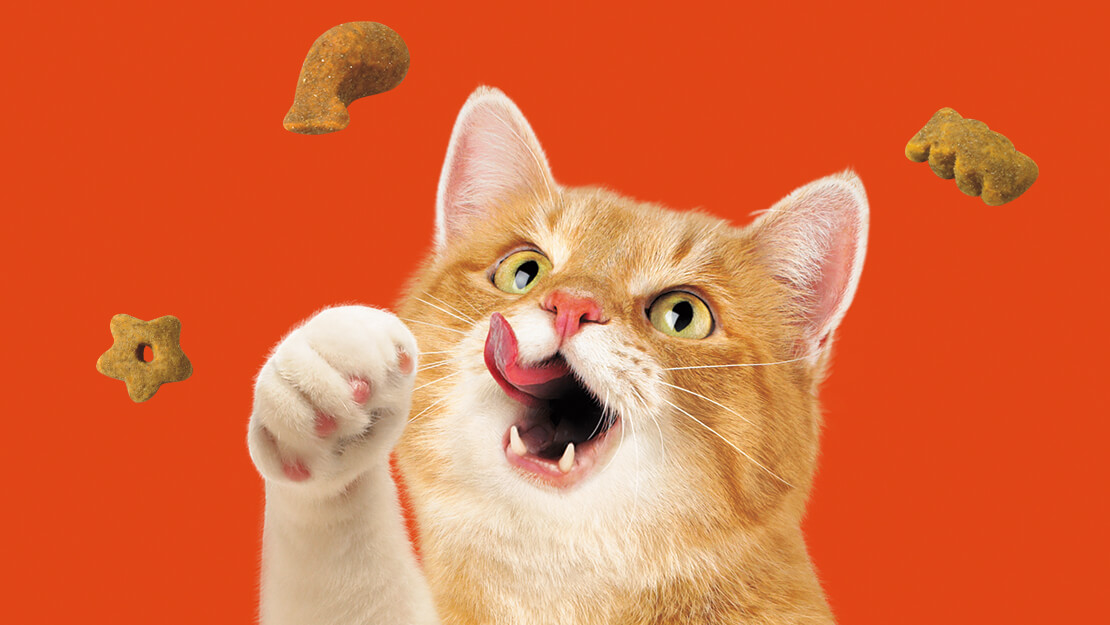 Friskies Treats For Cats