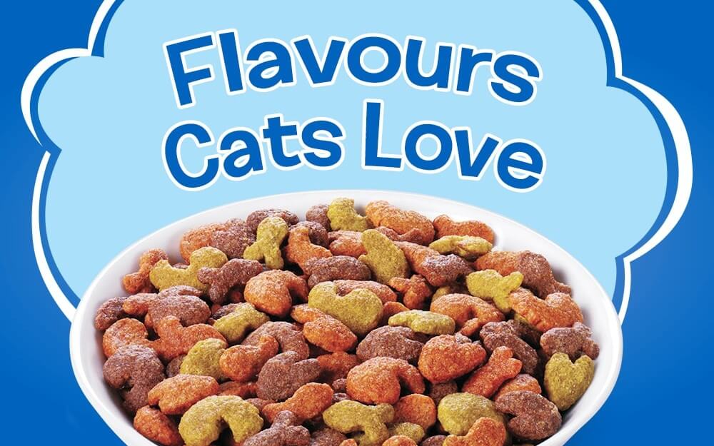 Friskies Dry Cat Food