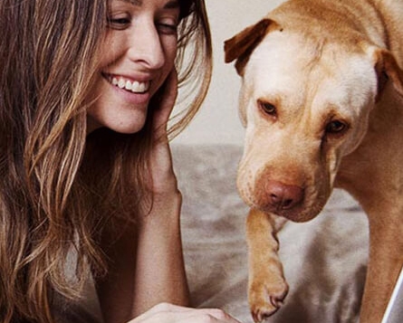 woman and dog looking at computer