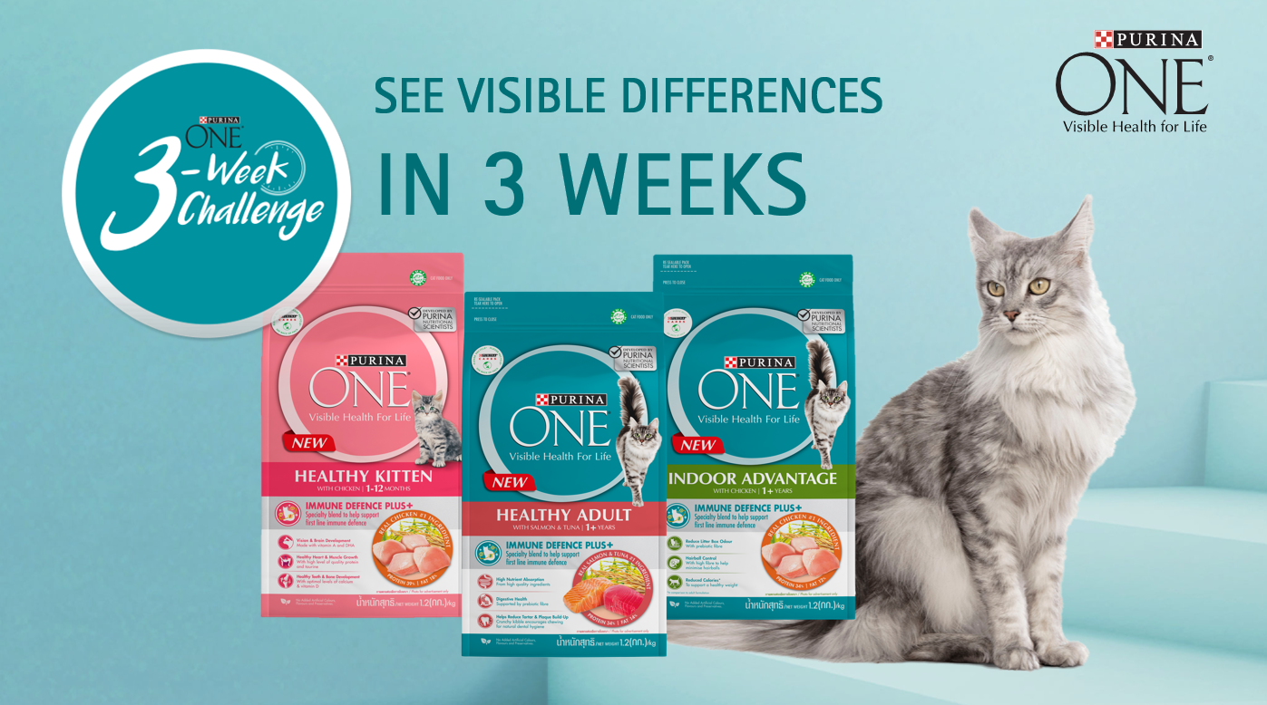 purina one 3 weeks challange