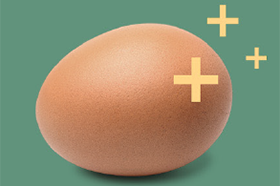 egg