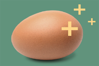 Egg_2