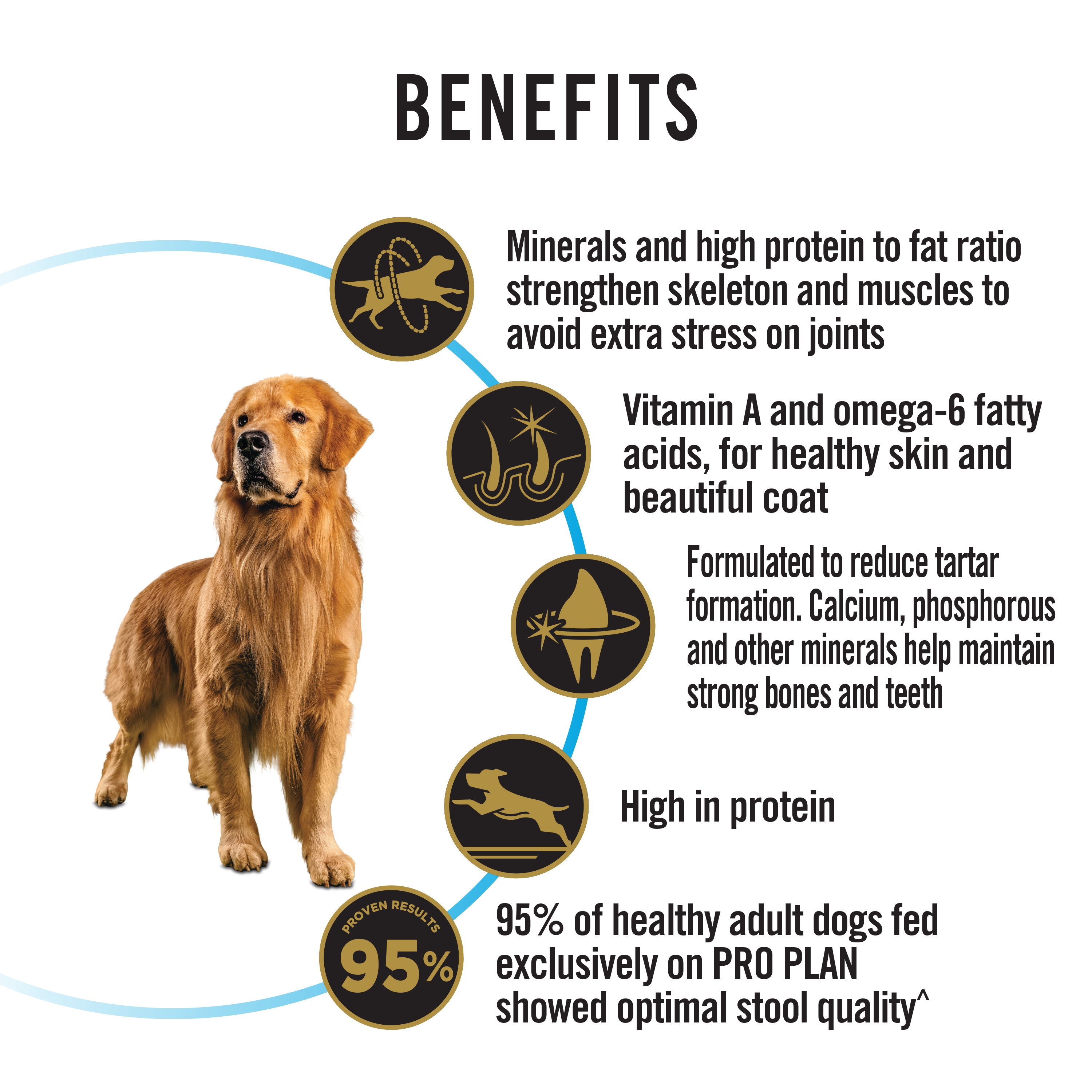 PRO PLAN Adult Large Chicken Formula benefits