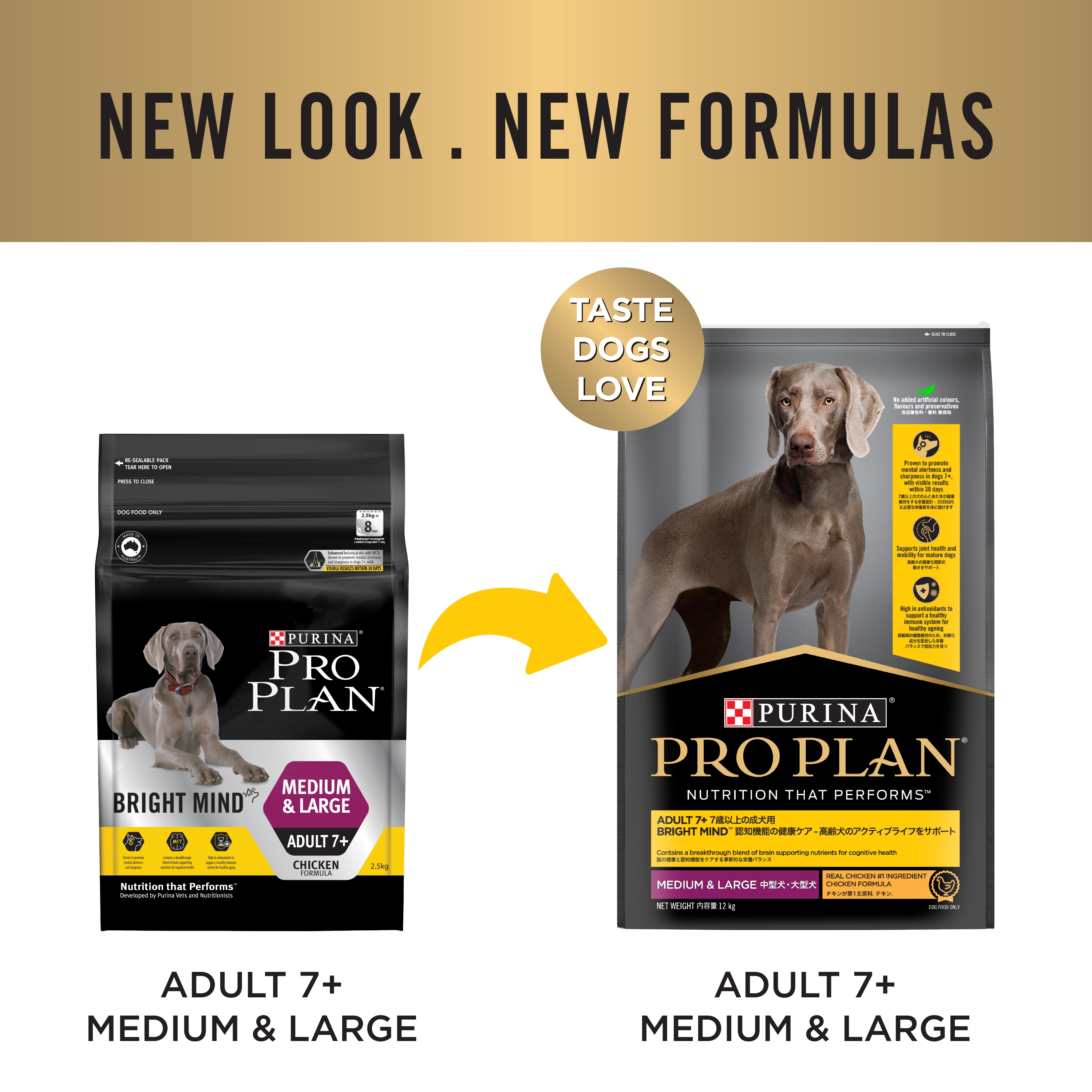PRO PLAN Bright Mind Medium Large Adult 7 Chicken Dry Dog Food