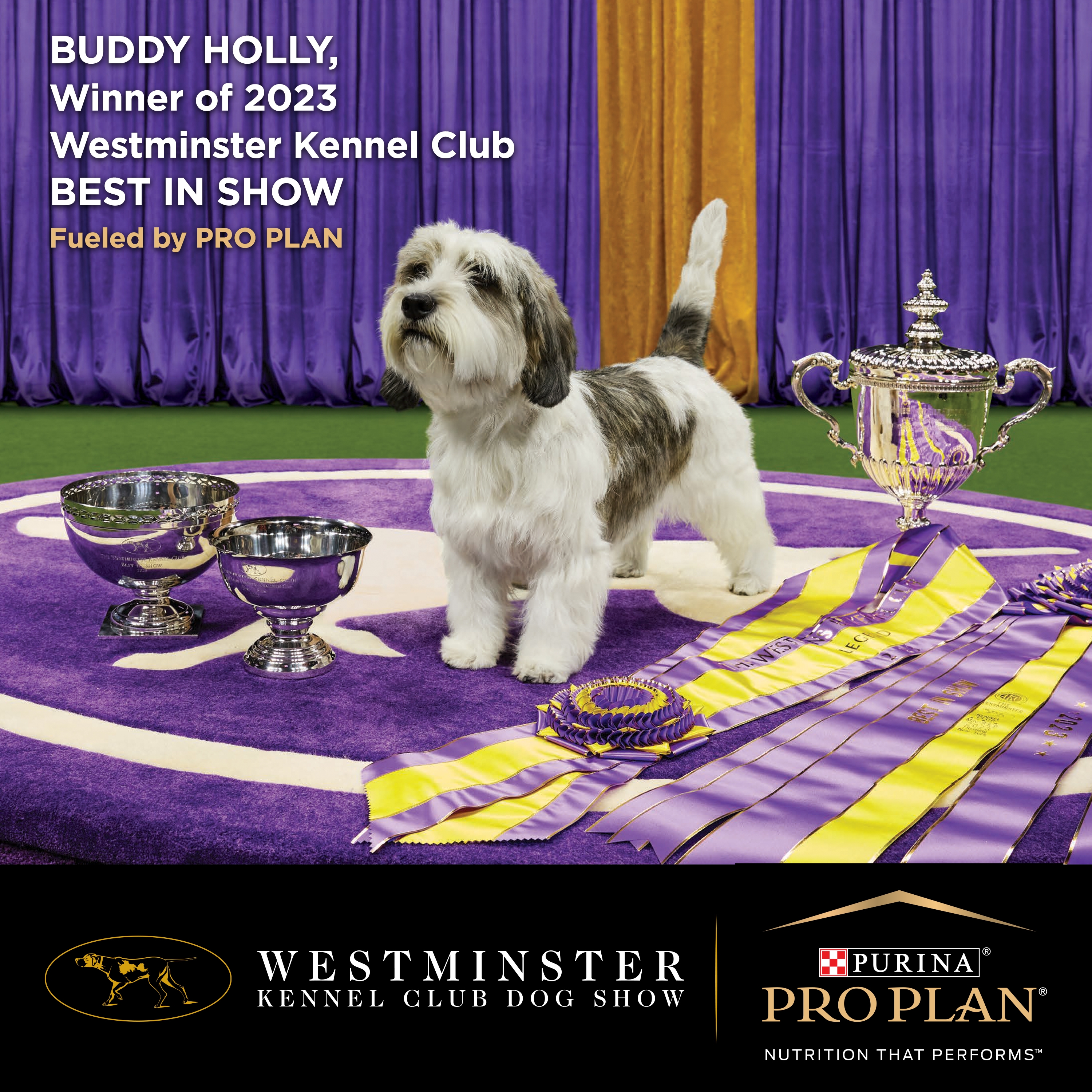 PRO PLAN Performance All Size with High Protein Dry Dog Food
