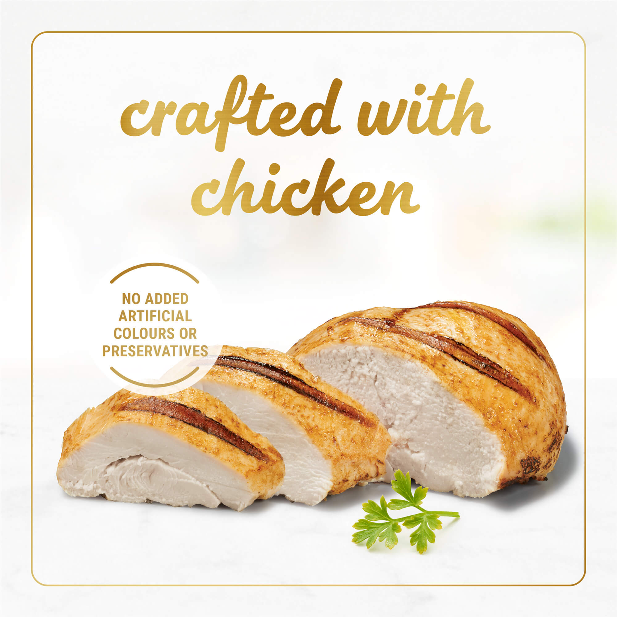 Fancy feast kitten classic pate sales