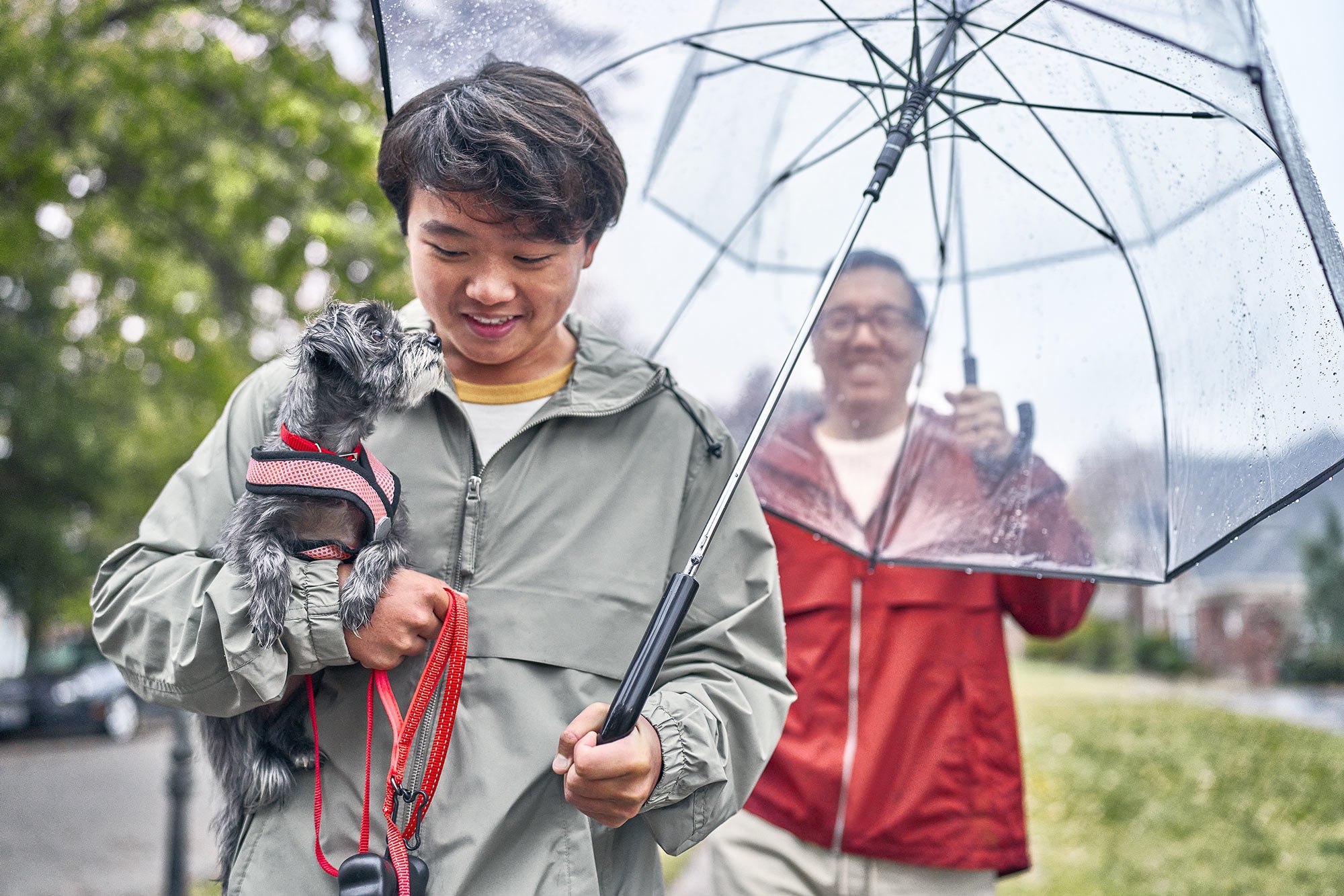 Man holding a dog in a harness and an umbrella