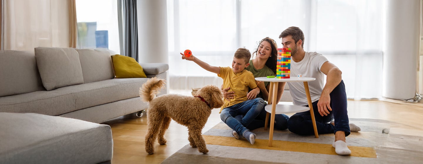 Indoor Games you can Play with Your Dog