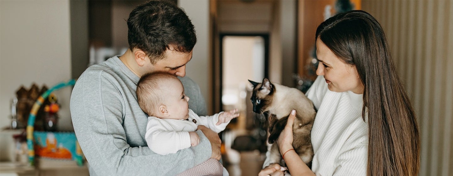 How to Safely Introduce Cats and Babies for the First Time