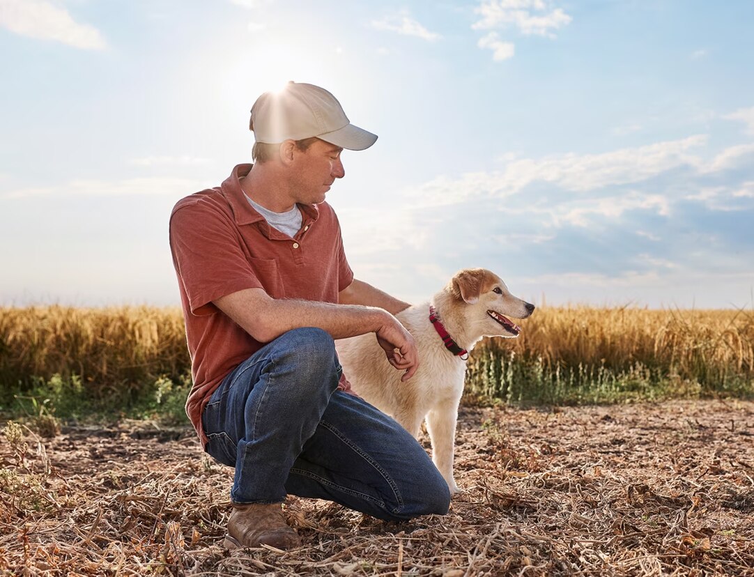 sustainable farmer image