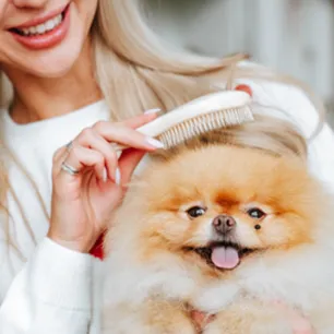 How to Groom a Dog