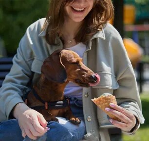 Can Dogs Eat Ice Cream