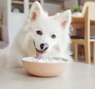 Can Dogs Eat Yogurt?