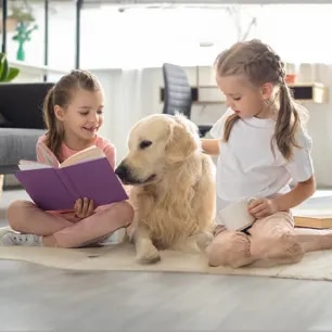 Dog Sitting and Daycare
