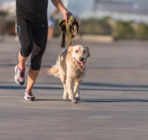 Running With Your Dog