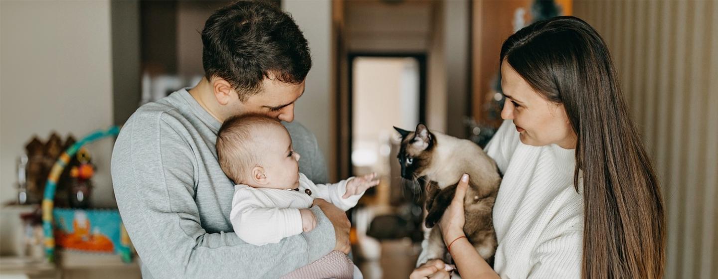 How to Safely Introduce Cats and Babies for the First Time