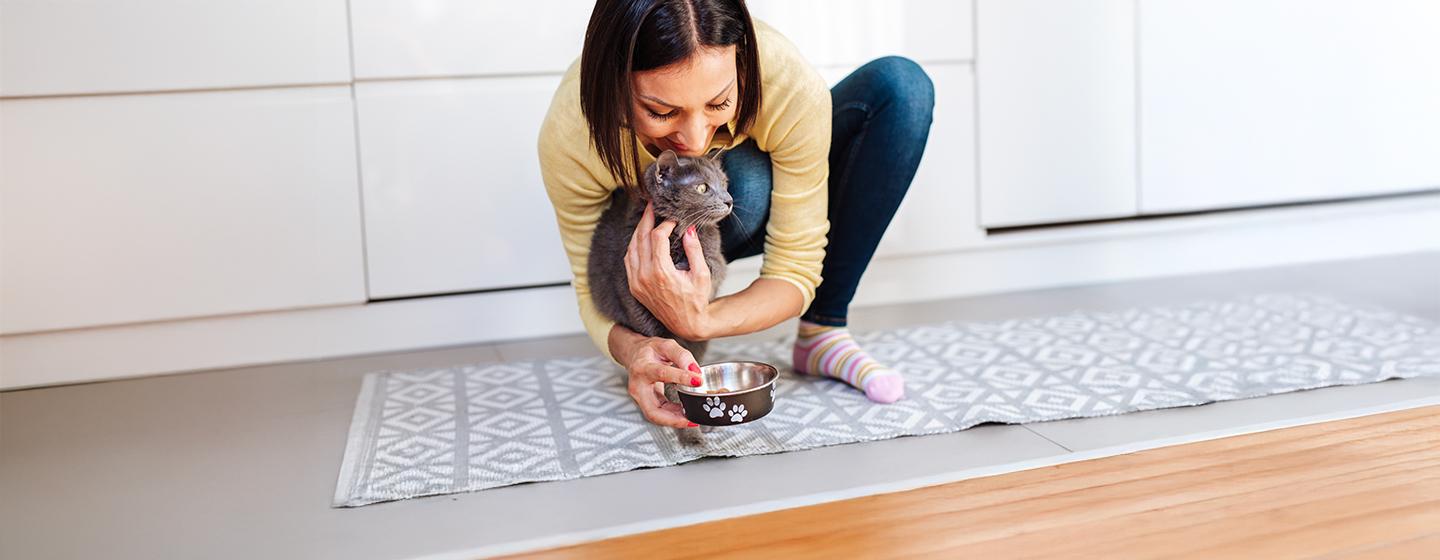 What Human Foods Can Cats Eat