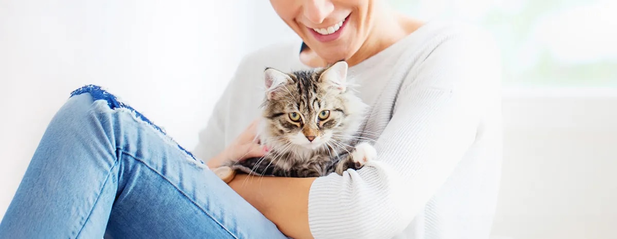 Guide to Boarding Catteries and Cat Sitting Services