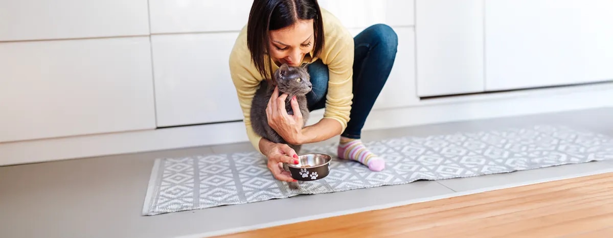 What Human Foods Can Cats Eat
