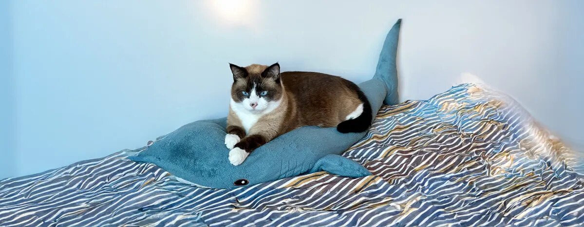 Why Do Cats Knead