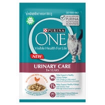 PURINA ONE® Wet Cat Urinary Care with Chicken