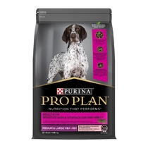 PRO PLAN Adult Medium & Large Sensitive Skin & Stomach Salmon & Mackerel Formula with Prebiotic Fibre - Dry Dog Food