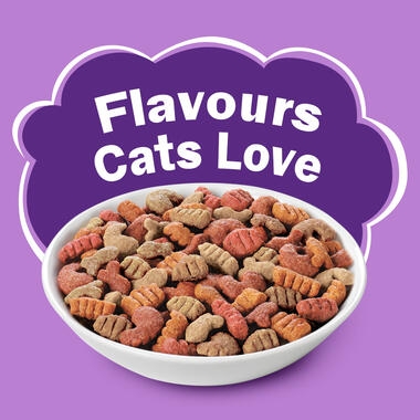 FRISKIES Surfin Favourites Dry Cat Food