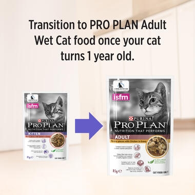 PRO PLAN® Kitten Tender Pieces with Salmon in Gravy