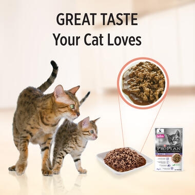 PRO PLAN® Kitten Tender Pieces with Salmon in Gravy