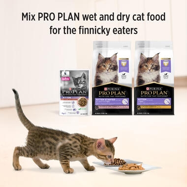PRO PLAN® Kitten Tender Pieces with Salmon in Gravy