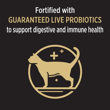 PRO PLAN® Sensitive Skin & Stomach Salmon & Tuna - Dry Cat Food