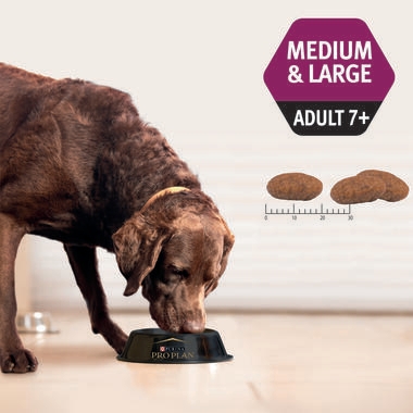 PRO PLAN Bright Mind Medium & Large Adult Chicken