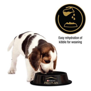 PRO PLAN All Size Performance Starter Chicken