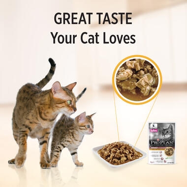PRO PLAN Tender Pieces with Chicken in Gravy Wet Cat Food