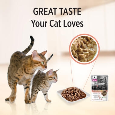 great taste your cat loves