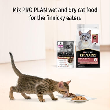 PRO PLAN Derma Plus Tender Pieces with Salmon in Gravy Wet Cat Food