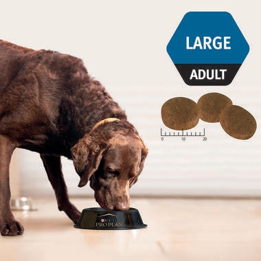 ADULT large 15kg-03