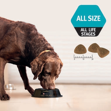 ADULT performance 20kg-03