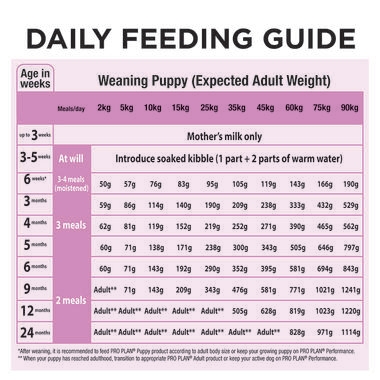 ADULT performance 20kg-07