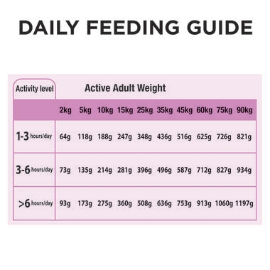 ADULT performance 20kg-09