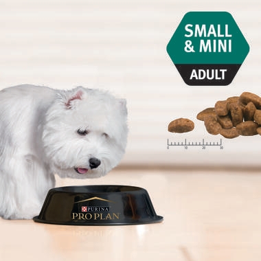 PRO PLAN Adult Small and Mini Sensitive Skin & Coat with OPTIDERMA Salmon