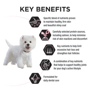 PRO PLAN Adult Small and Mini Sensitive Skin & Coat with OPTIDERMA Salmon