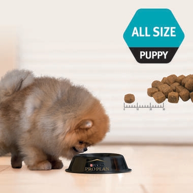 PRO PLAN Puppy All Size Sensitive Skin and Coat Salmon - Dry Dog Food