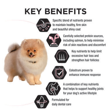 PRO PLAN Puppy All Size Sensitive Skin and Coat Salmon - Dry Dog Food