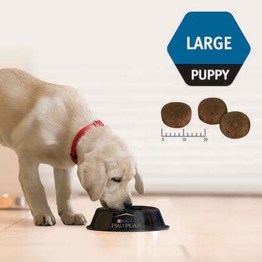 Puppy large 2.5kg-03